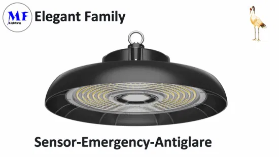 Highbay Light Warehouse Lumière UFO Luminaire 100W 150W 200W 150lm/W IP66 Prix Usine High Bay Light